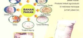 Pakan Murah Sapi Potong