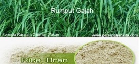 Formula Ramsum Pakan Sapi